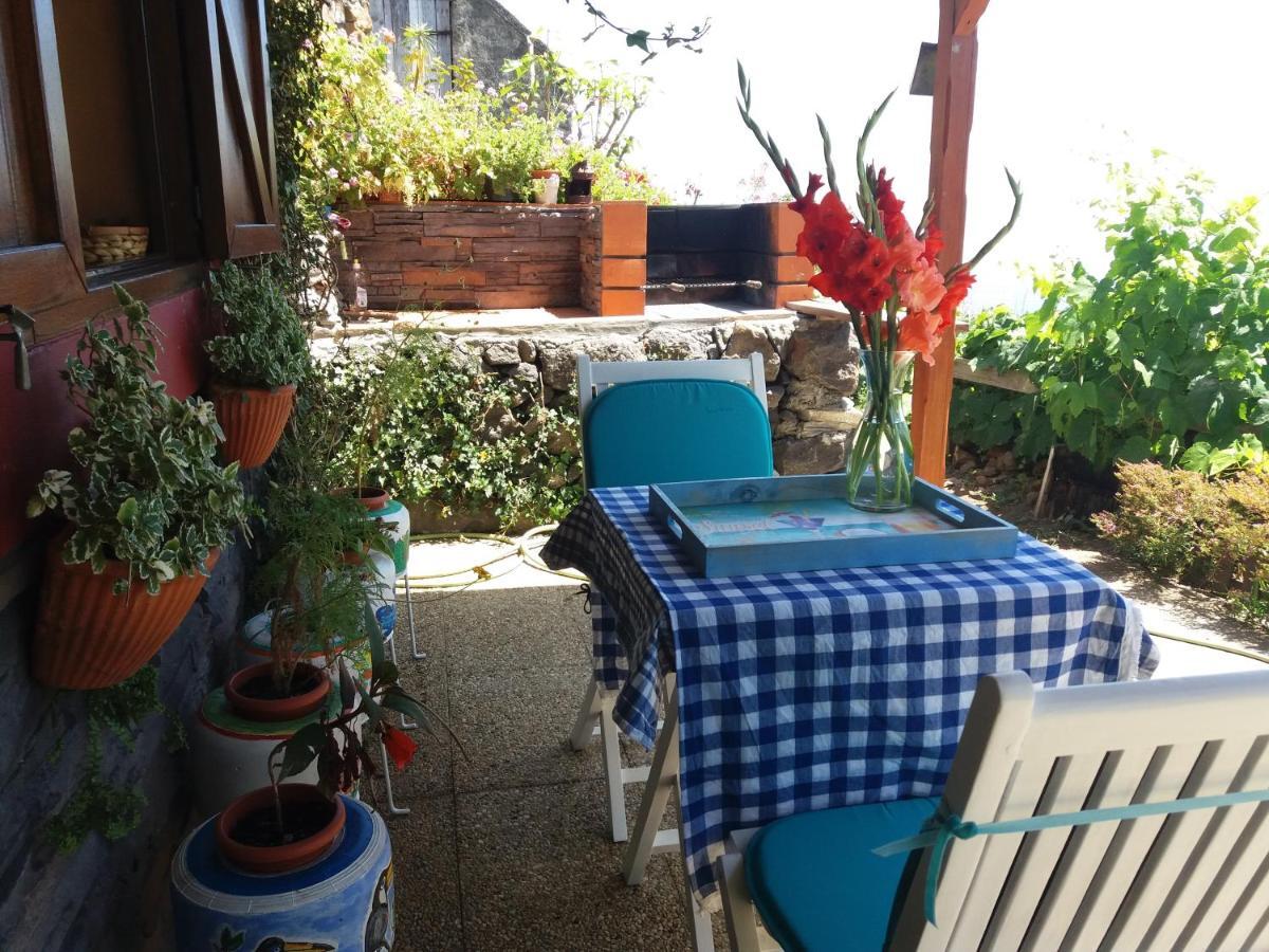 Villa Casa D'Alegria Madeira Island Ribeira Brava Exterior foto