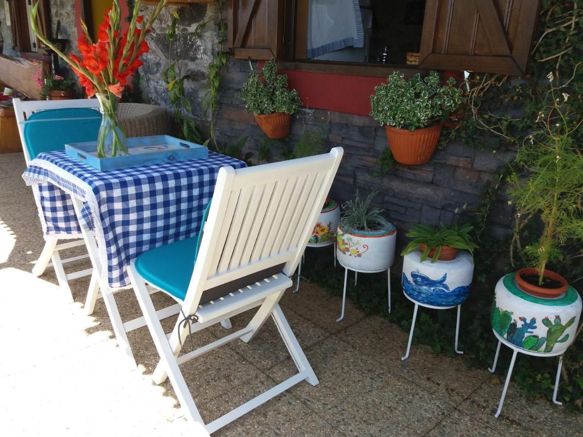 Villa Casa D'Alegria Madeira Island Ribeira Brava Exterior foto
